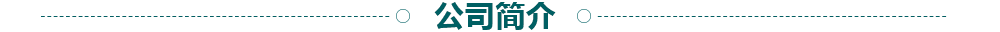 公司简介