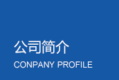 公司简介