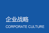 企业战略